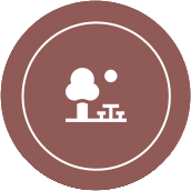 picnic icon