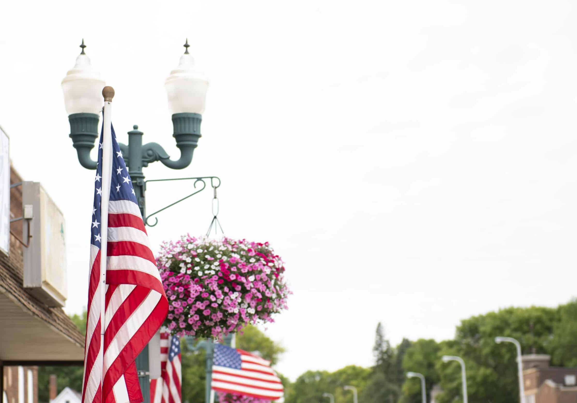 springfield minnesota street lamp with flower pot